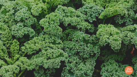 Planetary Health Diet? 6 Ways We Can All Eat Better for the Planet