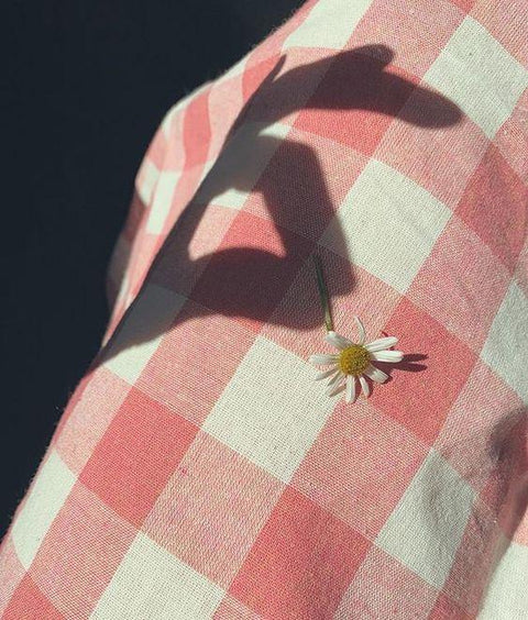 Resolutions for a Sustainable Future