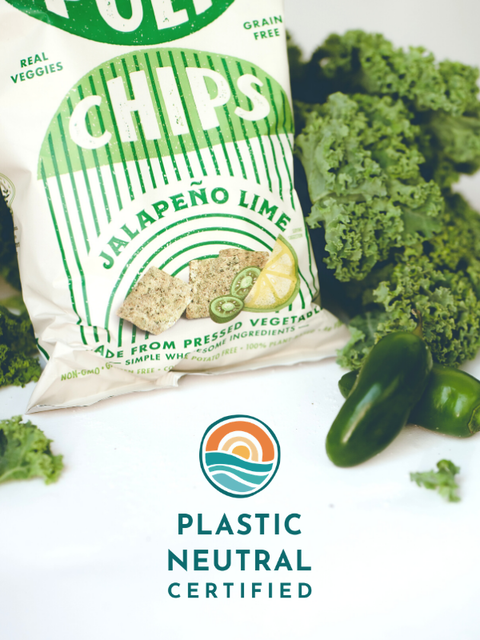 Jalapeño Lime - Pulp Pantry Corn Free, Grain Free, Gluten Free, Vegan Veggie Chips Healthy Tortilla Chips