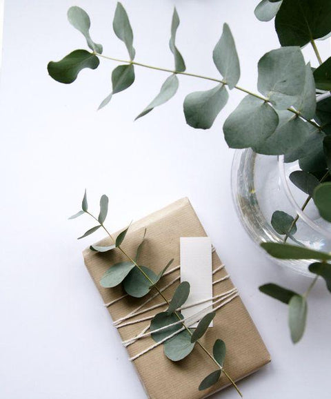 Sustainable Gift Giving 101: Last Minute Eco-Friendly Gift Ideas